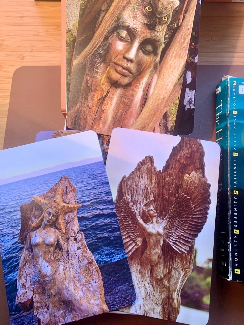 Spirit Animals Journey Cards - by Debra Bernier -Shaping Spirit